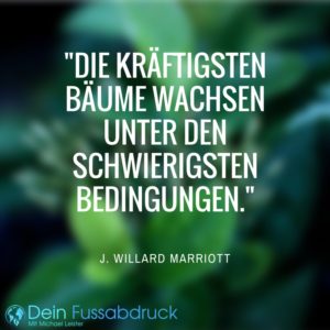 B Zitat 2