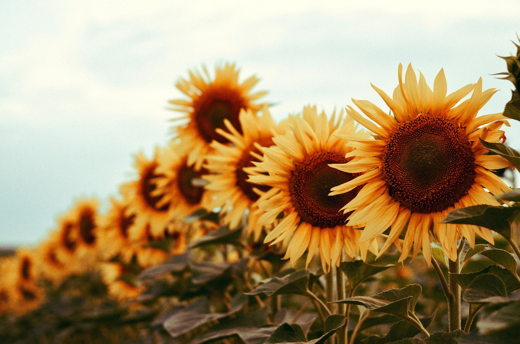 Für alle, die gerne in alte Muster zurückfallen
