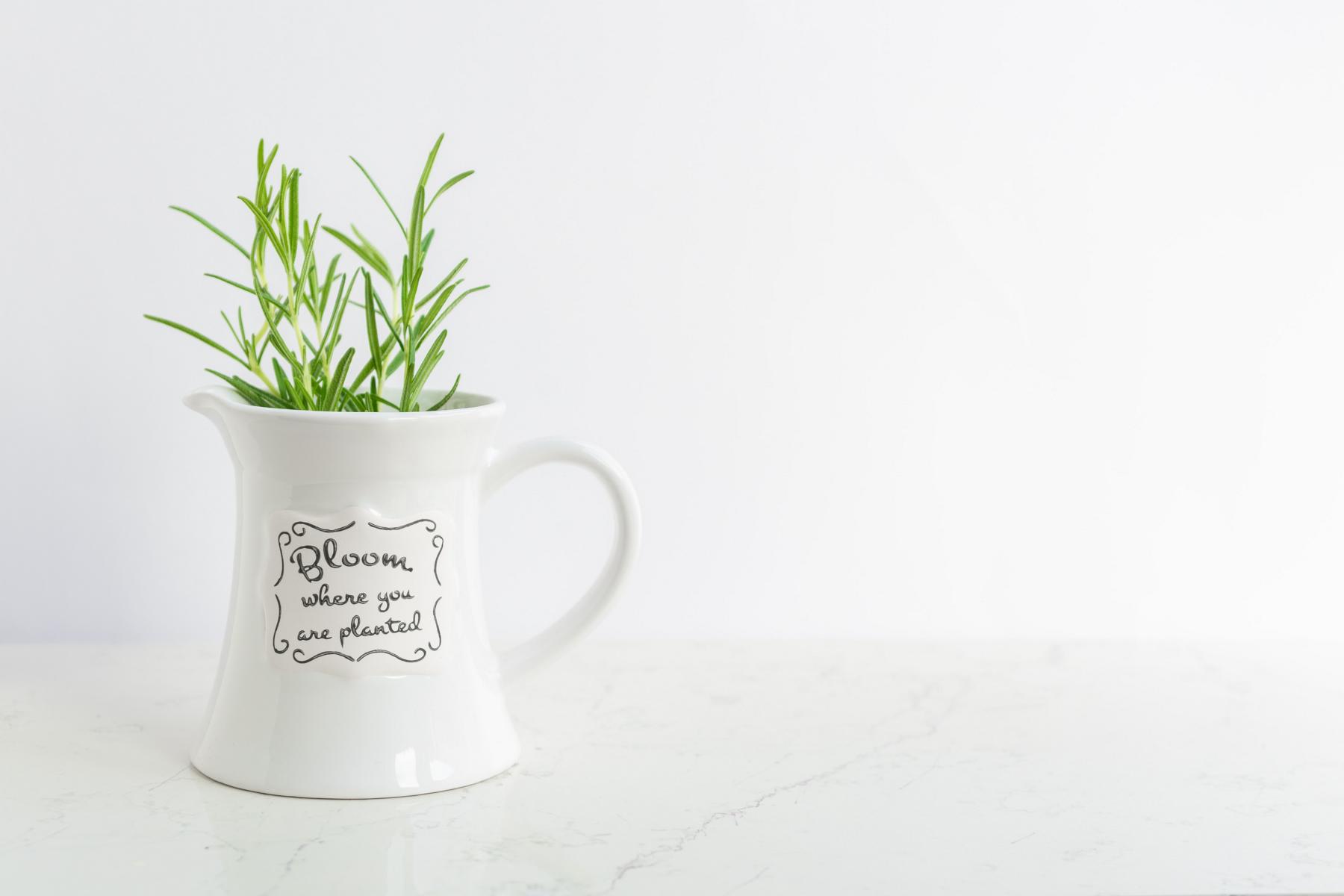 Die beste Investition meines Lebens